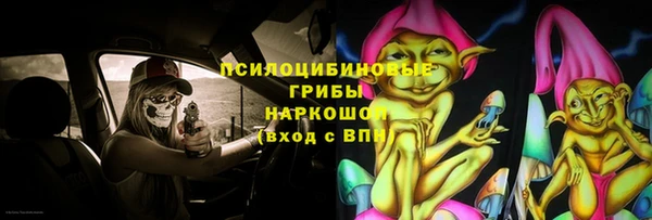 ГАЛЛЮЦИНОГЕННЫЕ ГРИБЫ Киреевск