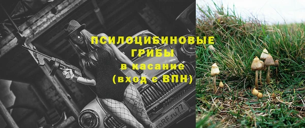 дживик Чегем
