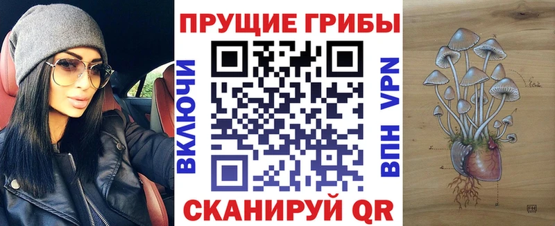 купить наркотики цена  Новочебоксарск  Псилоцибиновые грибы Psilocybine cubensis 
